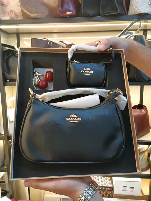 Coach Teri Shoulder Bag Set – Signature Canvas