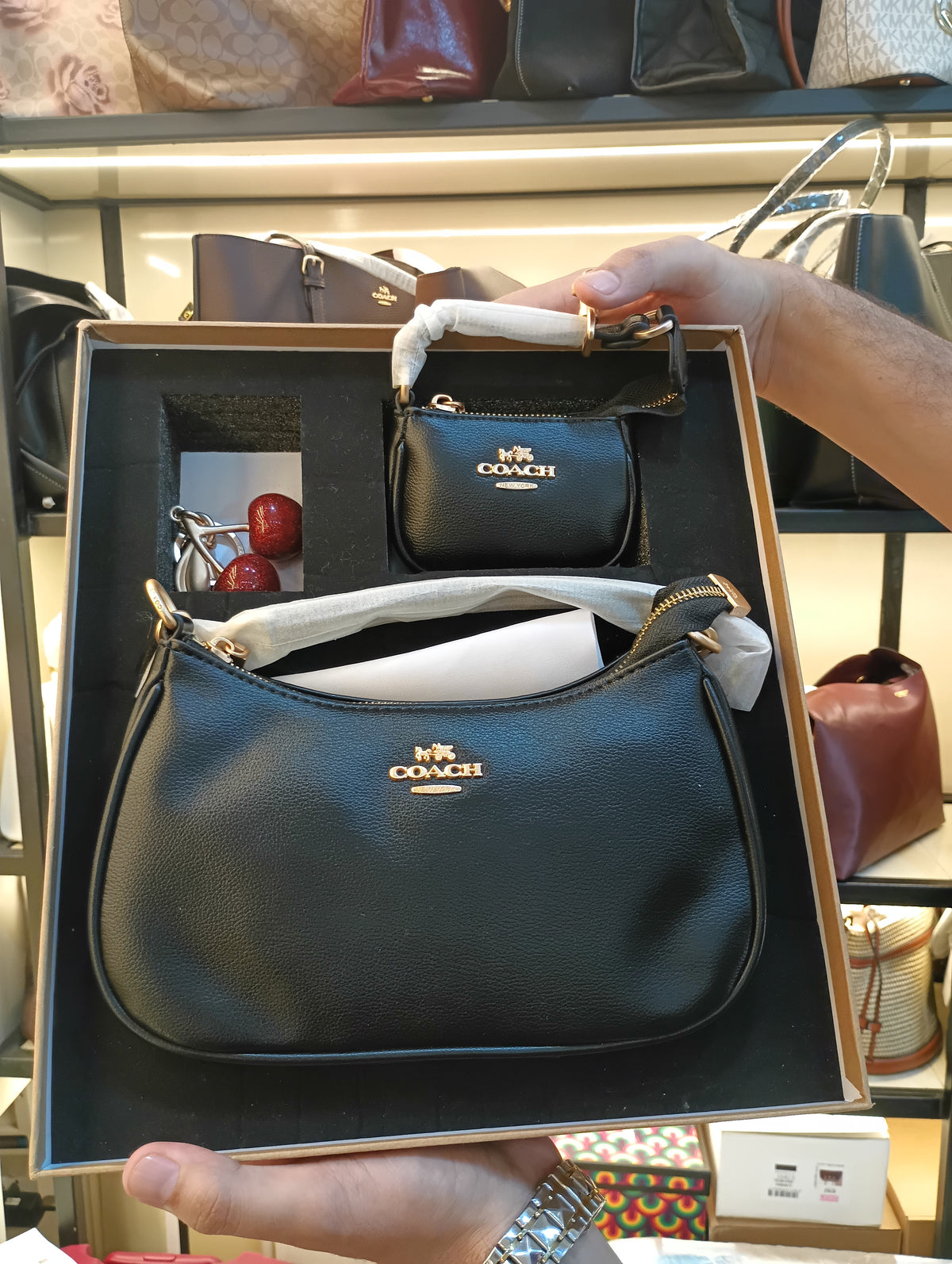 Coach Teri Shoulder Bag Set – Signature Canvas