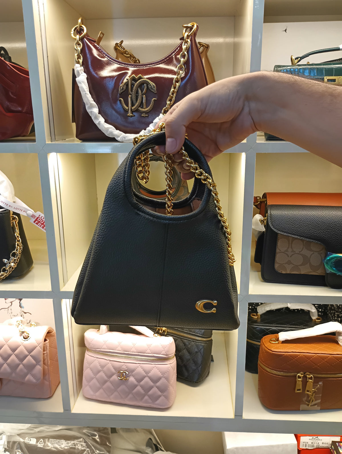 Coach Lana Shoulder Bag with Box Packaging
