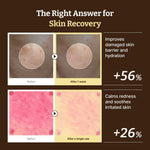 Dr. REJU-ALL Advanced PDRN Rejuvenating Cream 20ml