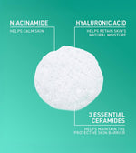 CeraVe Foaming Facial Cleanser 355 ML