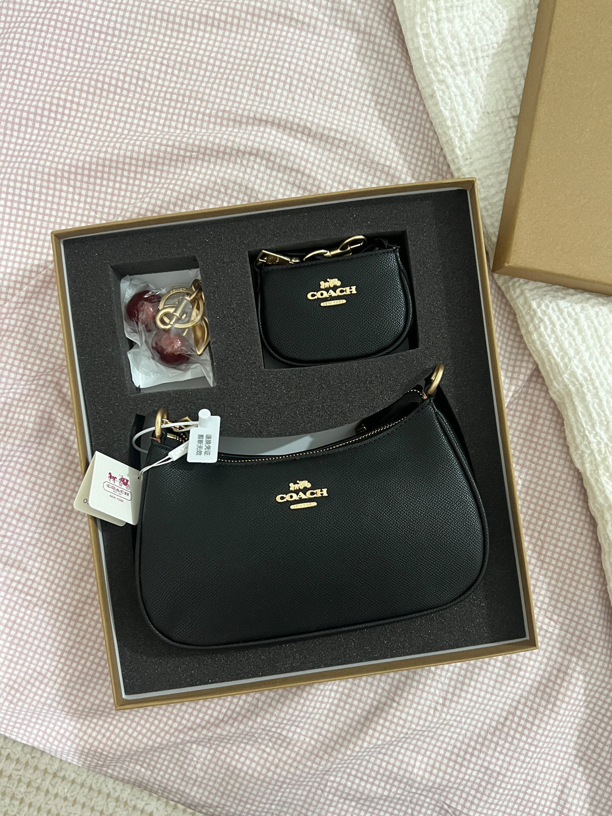 Coach Teri Shoulder Bag Set – Signature Canvas